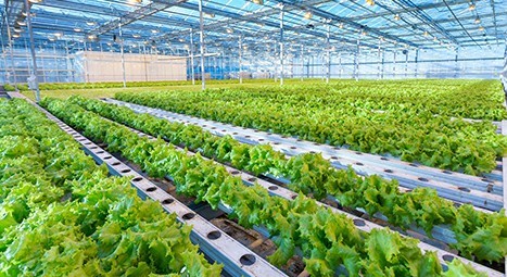 Agricultural Technology